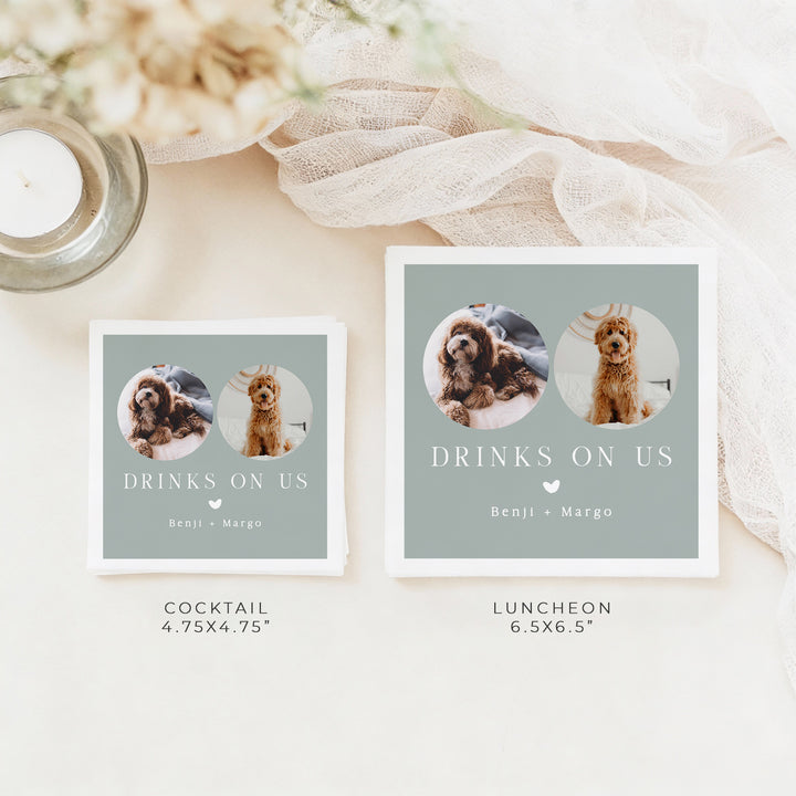 NINA Drinks On Us Sage Green Pet Napkins for Wedding