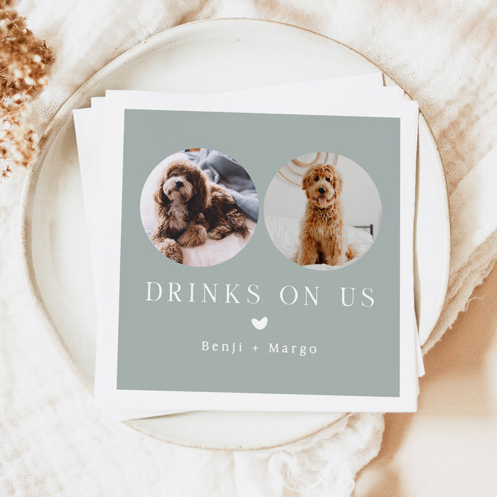 NINA Drinks On Us Sage Green Pet Napkins for Wedding