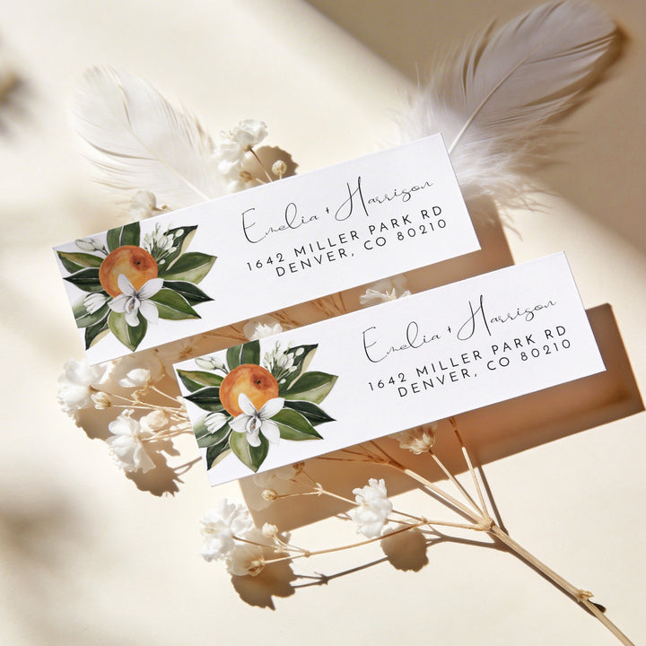 CALLIOPE Little Cutie on the Way Clementine Personalized Return Address Labels