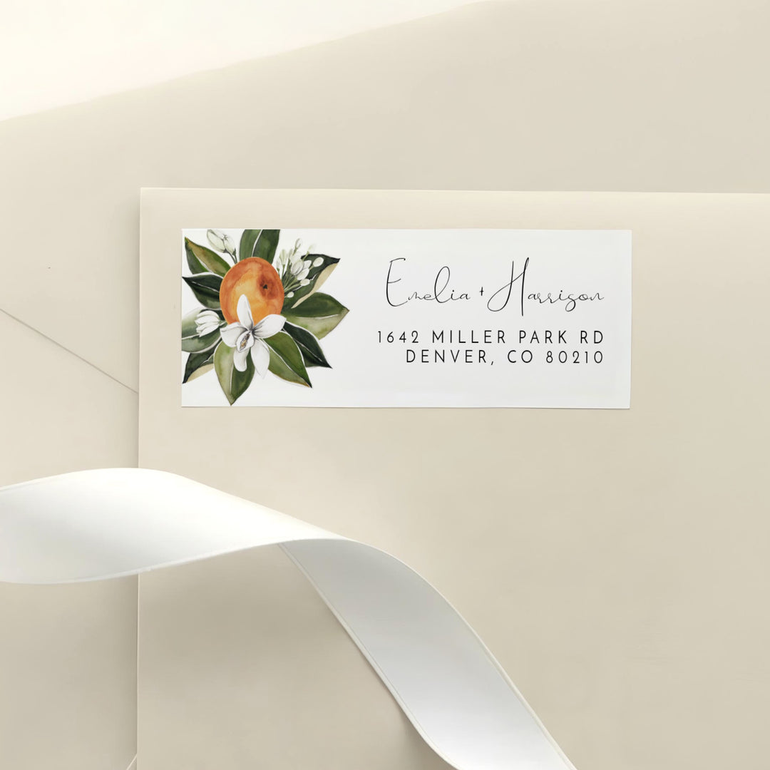 CALLIOPE Little Cutie on the Way Clementine Personalized Return Address Labels